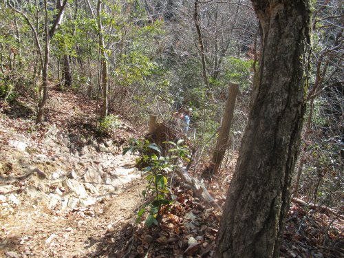 登山道
